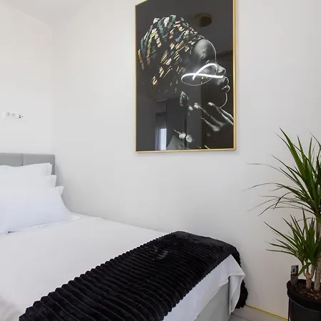 Taratta 1 * 特罗吉尔